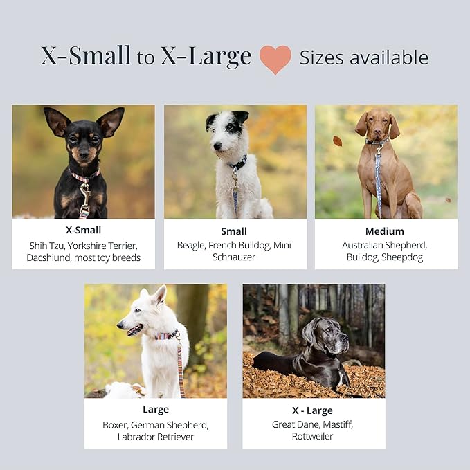 Lucky Love Dog - Adjustable Dog Collar with Easy Click Buckle for Small to Large Dogs, Durable, & Comfortable for Male & Female Dogs, Pet Collar for Puppies & Adult Ones - Nacho, Small