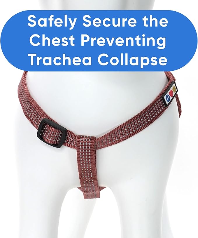 Pawtitas Dog Harness - Medium Sized, Marsala Brown, Step-in, Adjustable, Reflective Vest for Senior Dogs to Puppies - Size S