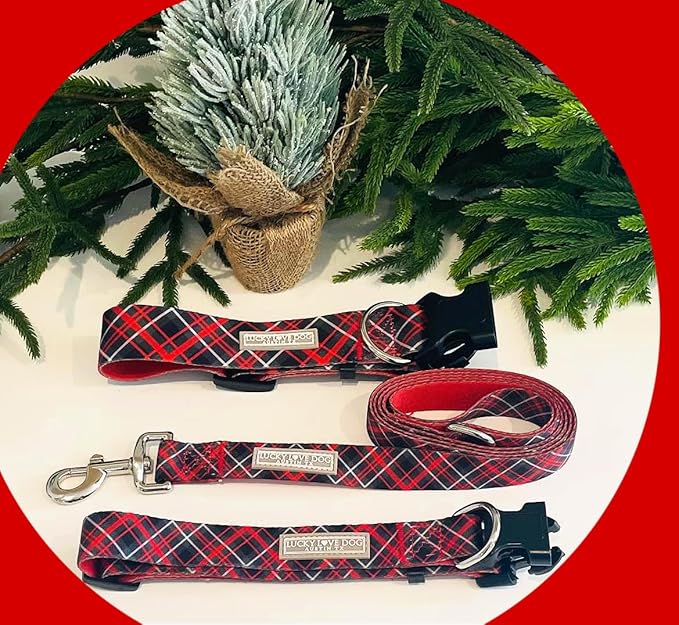 Lucky Love Dog - Adjustable Dog Collar with Easy Click Buckle for Small to Large Ones, Durable, & Comfortable for Male & Female Dogs, Pet Collar for Puppies & Adult Dogs - Heywood, XL