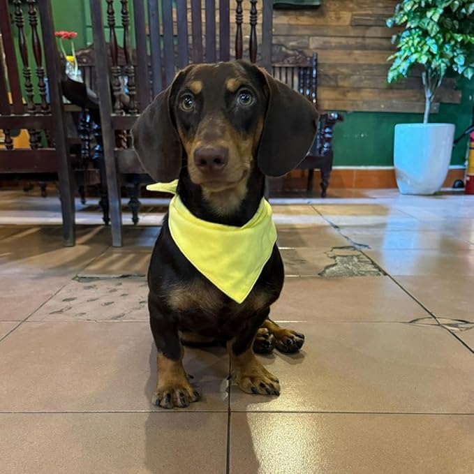 Premium Solid Yellow Dog Bandana, Luxury Soft Cotton Adjustable Triangle Scarf for Large Dogs, Comfortable, Stylish, and Customizable for All Seasons, Dog Accessories