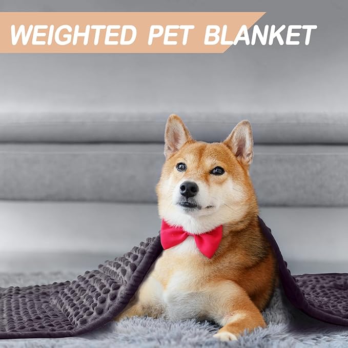 YUSRA Small Weighted Blanket 6lb, Dog Weighted Blanket for Medium Dogs Especially for Thunderstorms, Fireworks, Separation, Travel, Bed and Couch, Cozy Calming Dog Blanket (Dark Grey, 40 * 47inch)