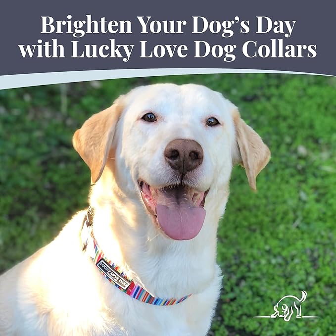 Lucky Love Dog - Adjustable Dog Collar with Easy Click Buckle for Small to Large Ones, Durable, & Comfortable for Male & Female Dogs, Pet Collar for Puppies & Adult Dogs - Hippie, Medium