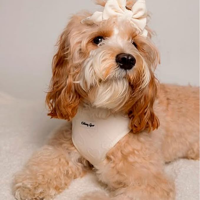Large Dog Harness Set – No Pull Harness with Matching Leash, Collar, Bandana, Sailor Bow & Poop Bag Holder – Pastel Cream with Heart Embroidery – Adjustable, Soft, Aesthetic Outfit