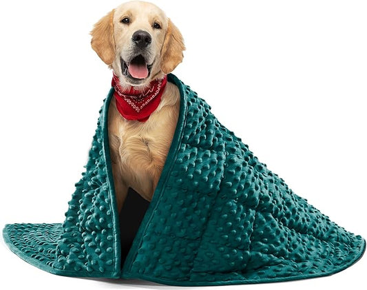 YUSRA Weighted Dog Blanket 6 Lbs, Small Weighted Blanket for Dogs Especially for Thunderstorms, Fireworks, Separation, Travel, Bed and Couch, Calming Dog Blanket (Blackish Green, 40 * 47inch)