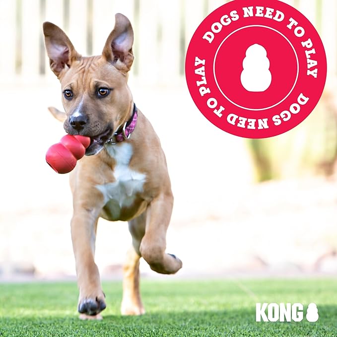 KONG Aqua Floating Fetch Toy - Dog Floating Toy for Water Retrieval, Play, Exercise & More - Natural Rubber Dog Toy with Foam Interior & Rope for Farther Throwing - Orange, for Large Dogs