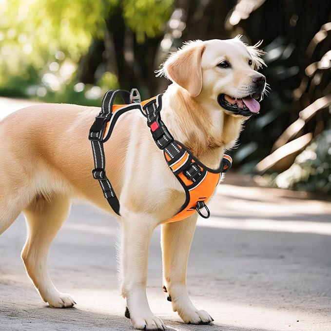 Timos Dog Harness Medium Sized, No Pull with Neck Lockable Snap,No Choke Front Clip Dog Reflective Harness,Adjustable Metal Rings 3 Buckles,Easy Control Handle for Medium Dogs Orange M