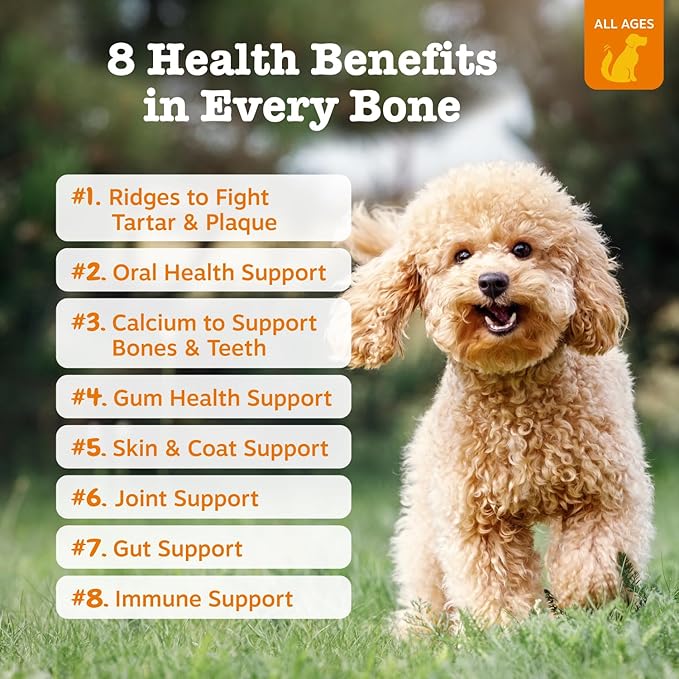 Zesty Paws Dental Bones - Fights Tartar & Plaque - Gum, Teeth & Bone Health - Cinnamon for Dog Breath - Immune, Joint, Gut, Skin & Coat Support - Omega 3 EPA & DHA and Calcium - Large Dogs - 24 ct…