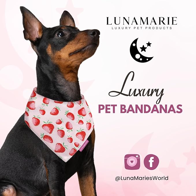 Luxury Pet Birthday Bandanas -Premium & Silky Poly Fabric | 100% Handmade | Custom Shape Dual Layered (Strawberry, X-Small)