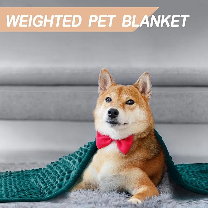 YUSRA Weighted Dog Blanket 6 Lbs, Small Weighted Blanket for Dogs Especially for Thunderstorms, Fireworks, Separation, Travel, Bed and Couch, Calming Dog Blanket (Blackish Green, 40 * 47inch)
