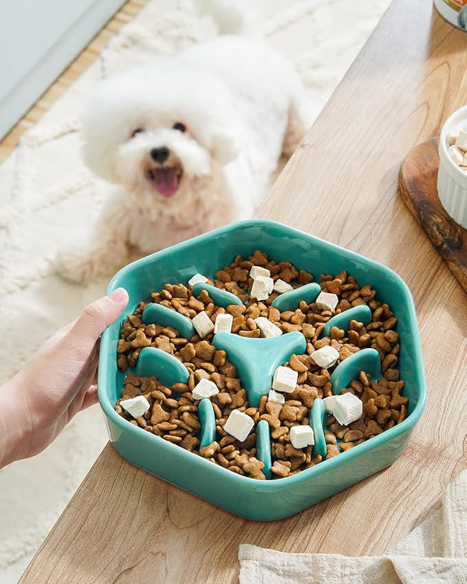 LE TAUCI PET Dog Slow Feeder Bowl Ceramic,3 Cups Puzzle Dog Food Bowl for Small Medium Large Breed, Puppy Slow Feeder Bowl for Fast Eater, Dog Bowls to Slow Down Eating, Maze Bowl, Pet Bowl