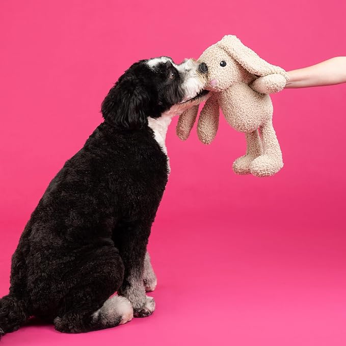 Fringe Studio Large Plush Dog Toy, Hoppy to See You, Pet Shop Collection (728034)