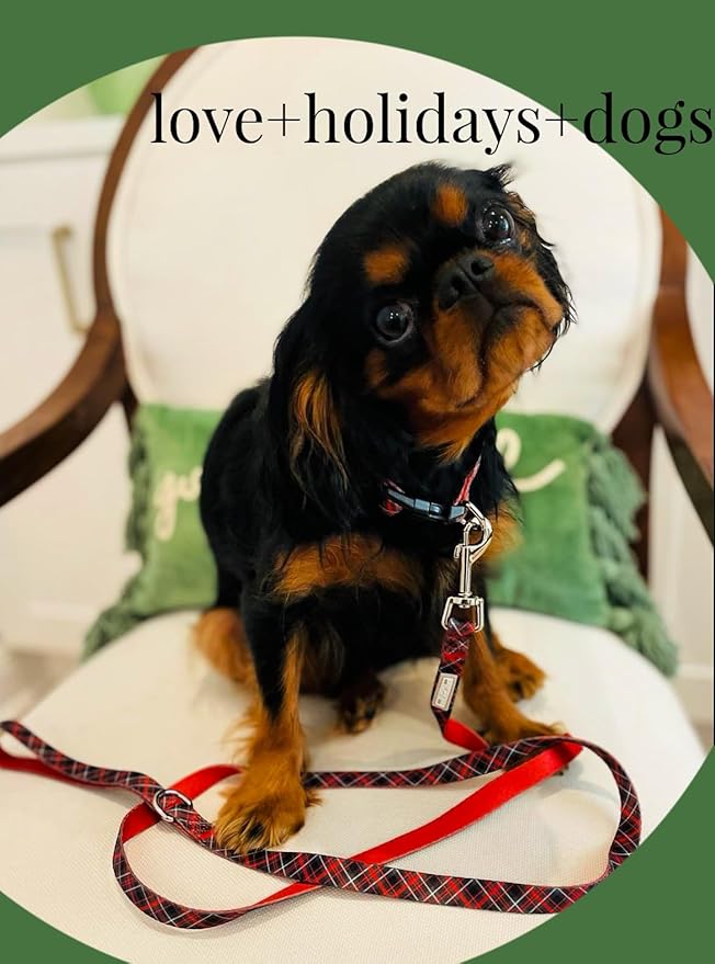 Lucky Love Dog - Adjustable Dog Collar with Easy Click Buckle for Small to Large Ones, Durable, & Comfortable for Male & Female Dogs, Pet Collar for Puppies & Adult Dogs - Heywood, XL