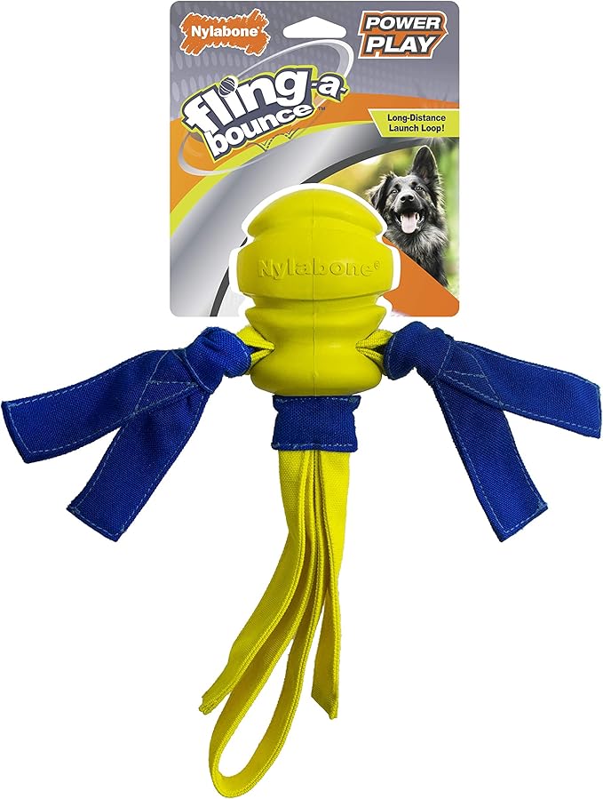 Nylabone Power Play Fling-a-Bounce Interactive Play Toy, Fetch Toy for Dogs, Large (1 Count)