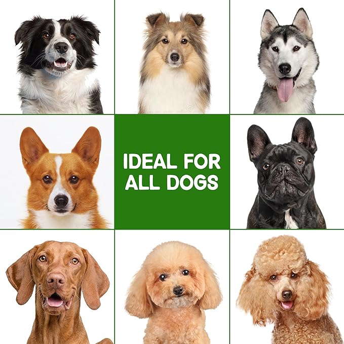 Dog Shampoo for Allergies & Itching -Natural Camellia Oil Pet Shampoo for Sensitive Skin, Deshedding, Smooth Coat for Smelly Dogs|Reduce Hair Loss & Odor Removal | 16 oz