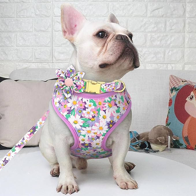 Beirui Cute Girl Dog Collars, Harnesses & Leashes Set - Adjustable Dog Collar and Leash Set with Flower - Soft Mesh Dog Vest Harness for Puppies Small Medium Dogs (Purple,M)