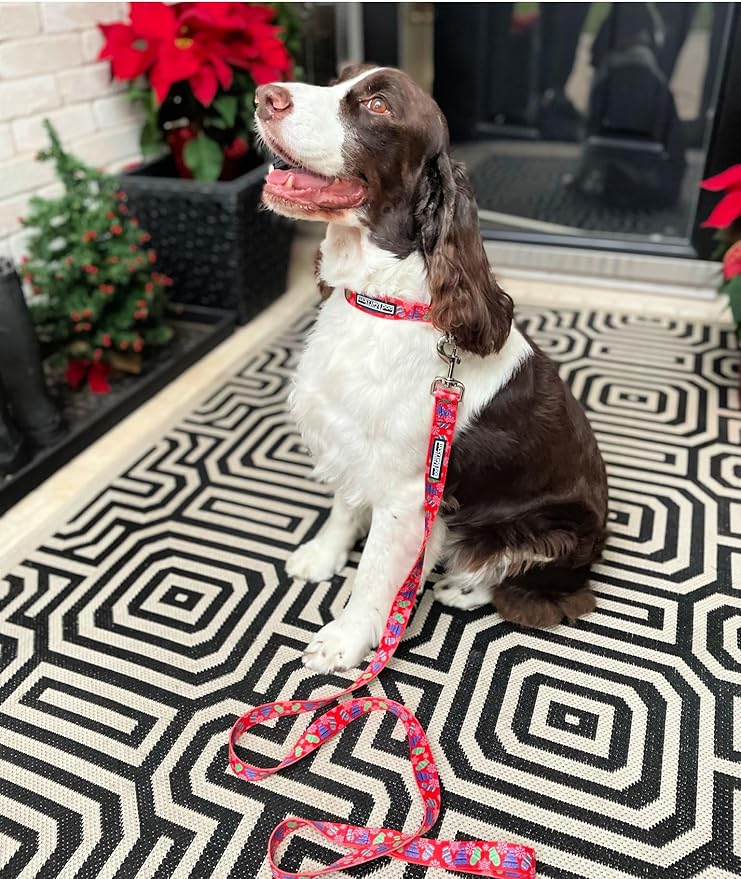 Lucky Love Dog - Adjustable Dog Collar with Easy Click Buckle for Small to Large Ones, Durable, & Comfortable for Male & Female Dogs, Pet Collar for Puppies & Adult Dogs - Chilly, XS