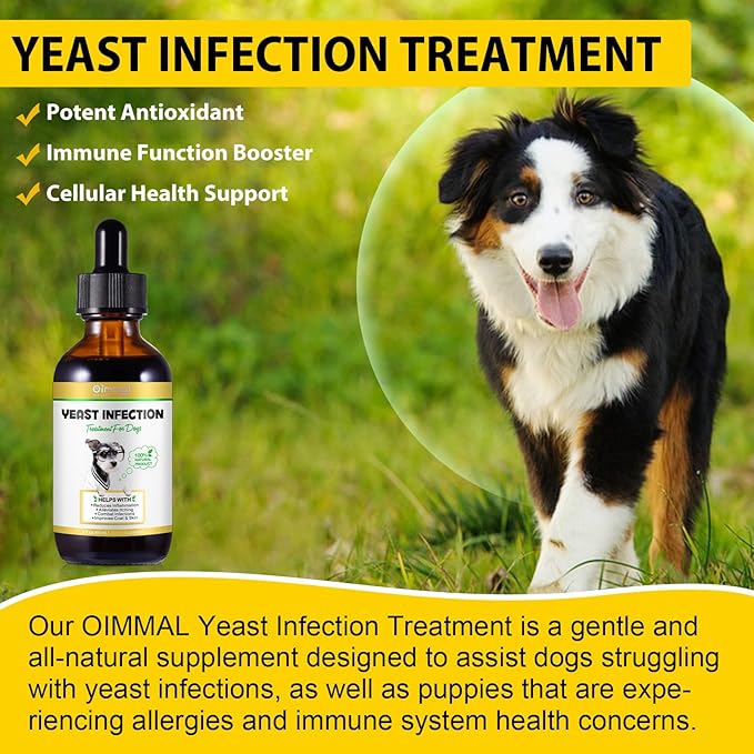 Yeast Infection Treatment for Dogs, Naturally Supports Dog Healthy Itch Relief, Ear Infection Treatment, Dogs Allergy Relief, Inflammation Relief & More, 60ml