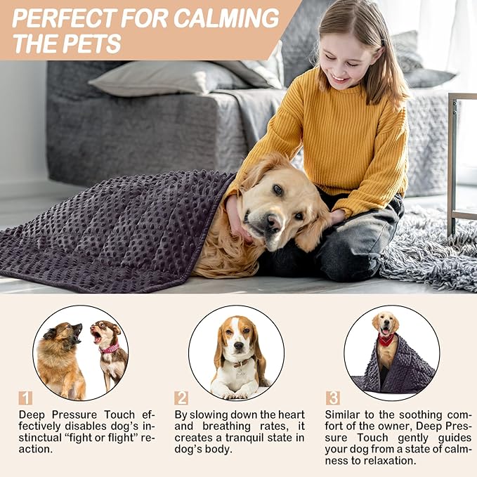 YUSRA Small Weighted Blanket 6lb, Dog Weighted Blanket for Medium Dogs Especially for Thunderstorms, Fireworks, Separation, Travel, Bed and Couch, Cozy Calming Dog Blanket (Dark Grey, 40 * 47inch)