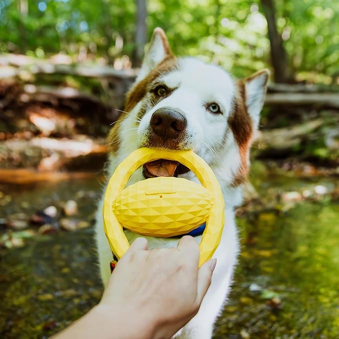 Hound2O Outdoor Dog Toys - Tug Ball, Yellow - Tough, Engaging, & Interactive Chew Toys - Chew, Chase, & Fetch - Durable Materials That Float - Easy to Clean for Outdoor Play - Non-Toxic Materials