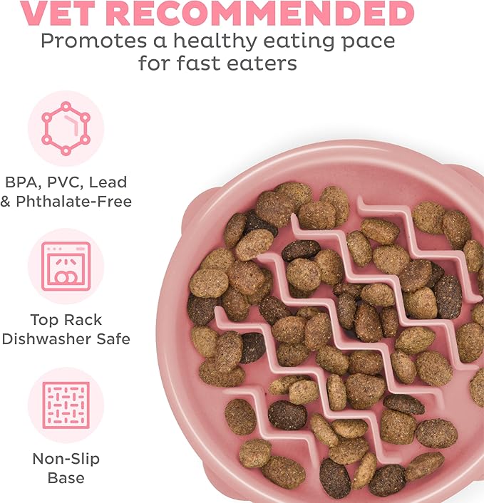 Outward Hound Fun Feeder Slo Bowl, Small Slow Feeder Dog Bowl, 3/4 Cups, Mini, Pink