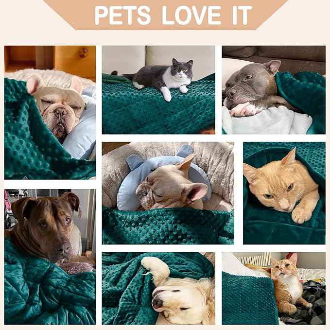 YUSRA Weighted Dog Blanket 6 Lbs, Small Weighted Blanket for Dogs Especially for Thunderstorms, Fireworks, Separation, Travel, Bed and Couch, Calming Dog Blanket (Blackish Green, 40 * 47inch)