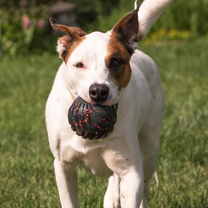 Chew King Supreme Dog Toy Collection, Large 4" Supreme Fetch Ball