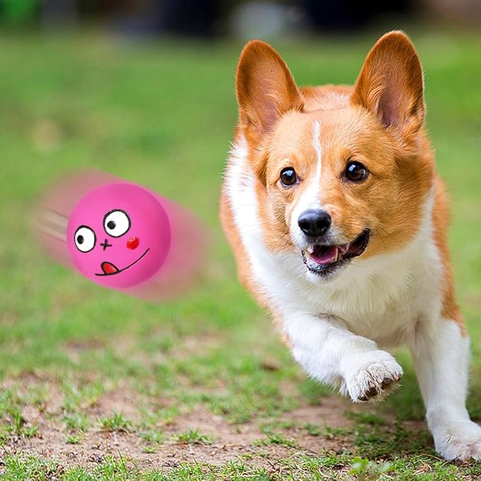 Squeaky Balls for Dogs 6 Pcs, Squeaky Dog Toys Small Rubber Balls with Funny Expressions for Puppies, Small and Medium Dogs (2 inch)