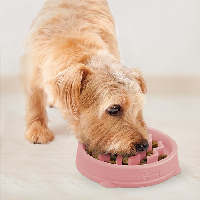 Outward Hound Fun Feeder Slo Bowl, Small Slow Feeder Dog Bowl, 3/4 Cups, Mini, Pink