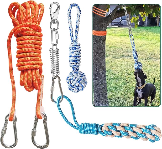 Outdoor Hanging Bungee Dog Toy, Interactive Tether Tug of War Toy for Pitbull Small to Large Breeds, Tree Tugger Rope with Spring Pole, 2 Dog Rope Toys