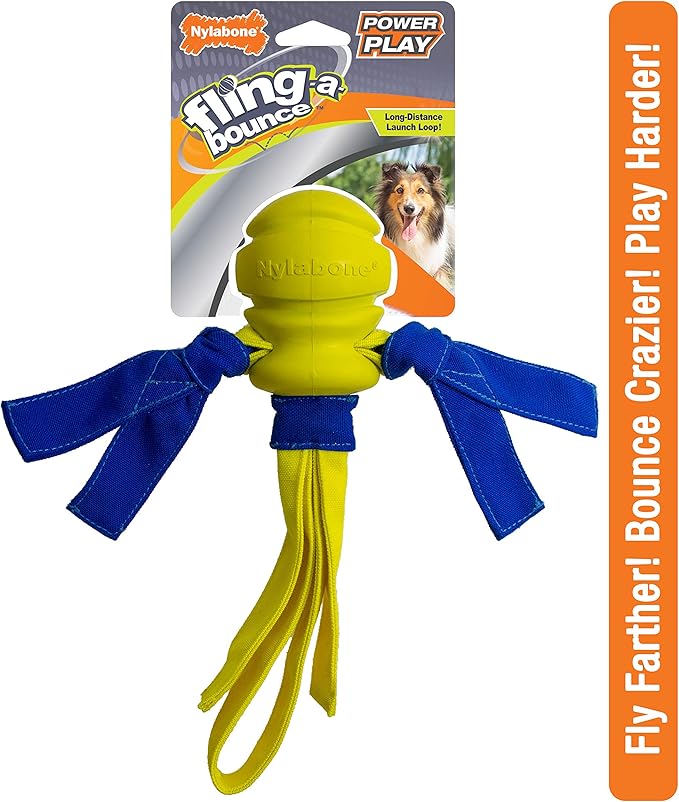 Nylabone Power Play Fling-a-Bounce Interactive Play Toy, Fetch Toy for Dogs, Large (1 Count)
