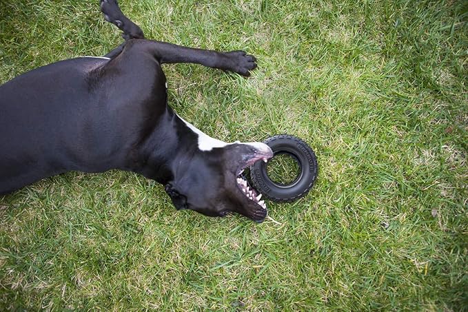 Mammoth TireBiterII – Natural Rubber Dog Toys for Extreme Chewers – Dog Toys for Extra Long Interactive Play – Aggressive Chewer Toys for Large - X-Large Dogs - X-Large 7”
