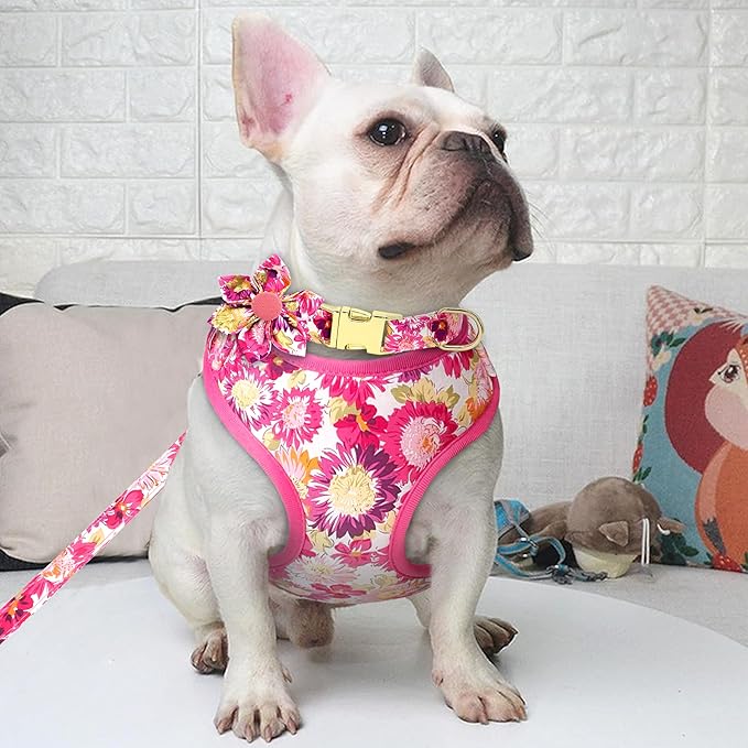 Beirui Cute Girl Dog Collars, Harnesses & Leashes Set - Adjustable Dog Collar and Leash Set with Flower - Soft Mesh Dog Vest Harness for Puppies Small Medium Dogs (Pink-2,XS)