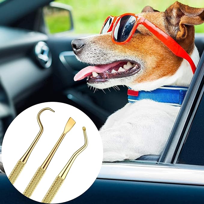 3 Pieces Dog Dental Tooth Scaler and Scraper Stainless Double Headed Tarter Removing Tool Scraper Pet Teeth Cleaning Tools for Dog and Cat(Gold)