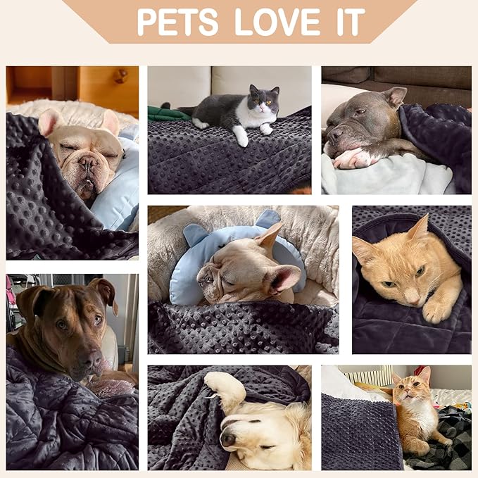 YUSRA Small Weighted Blanket 6lb, Dog Weighted Blanket for Medium Dogs Especially for Thunderstorms, Fireworks, Separation, Travel, Bed and Couch, Cozy Calming Dog Blanket (Dark Grey, 40 * 47inch)