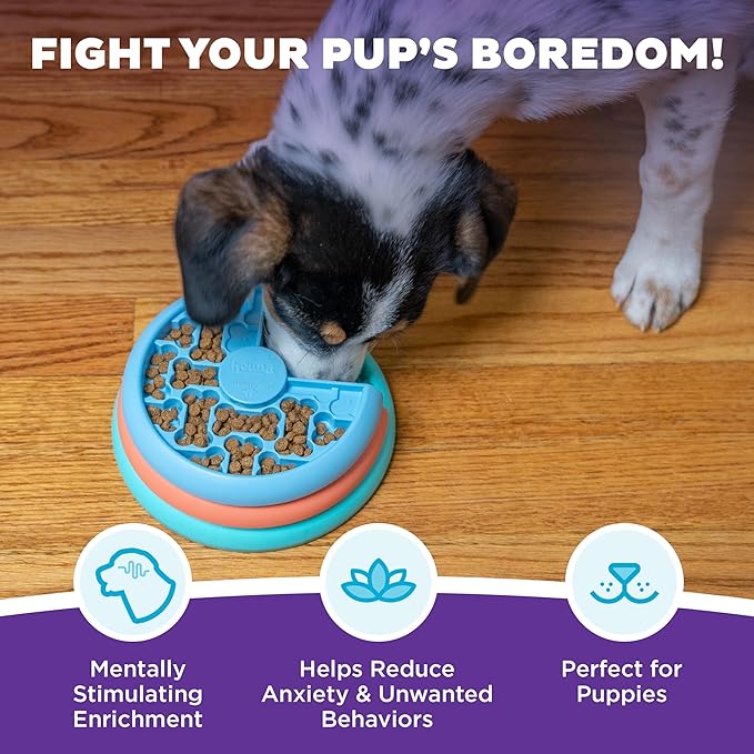 Outward Hound by Nina Ottosson Puppy Lickin' Layers Interactive Dog Puzzle Feeder, Level 2 Intermediate Enrichment Toy, Multicolored