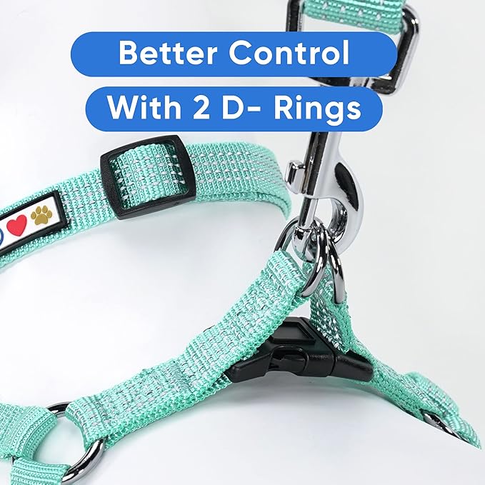 Pawtitas Extra Small Dog Harness Teal Dog Harness Step in from a Senior Dog to a Puppy Harness Adjustable Reflective Dog Harness XS Reflective Dog Vest