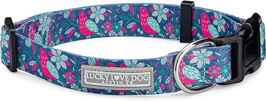 Lucky Love Dog - Adjustable Dog Collar with Easy Click Buckle for Small to Large Dogs, Durable, & Comfortable for Male & Female Dogs, Pet Collar for Puppies & Adult Ones - Carriebelle, Large