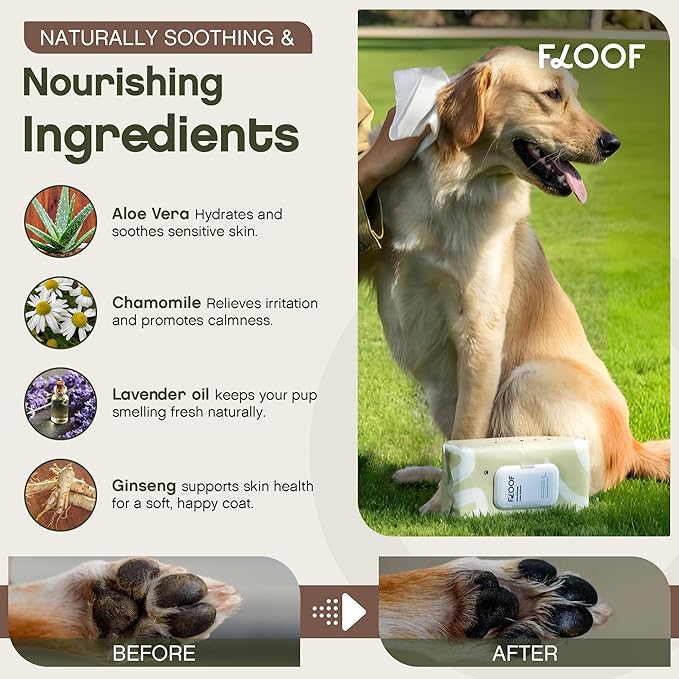 Floof Hypoallergenic Dog Wipes – Natural Aloe Grooming Wipes for Paws Face Ears Eyes & Bum – Vet-Formulated Extra Thick Safe for Puppies & Adult Dogs –864 Count