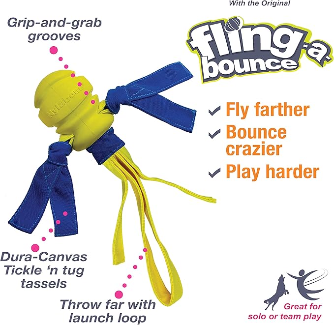 Nylabone Power Play Fling-a-Bounce Interactive Play Toy, Fetch Toy for Dogs, Large (1 Count)