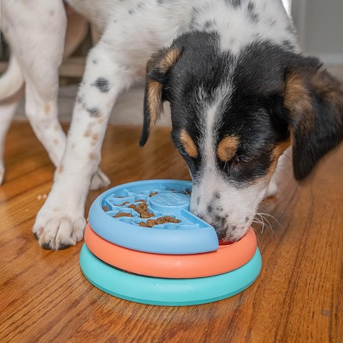 Outward Hound by Nina Ottosson Puppy Lickin' Layers Interactive Dog Puzzle Feeder, Level 2 Intermediate Enrichment Toy, Multicolored