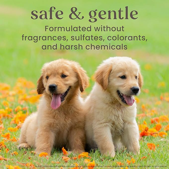 Burt's Bees for Pets Itch Soothing Shampoo with Honeysuckle, 95% Natural Origin Formulas, Dog Shampoo for Itchy Dogs, Dog Shampoo Itchy Skin Relief, 16 oz