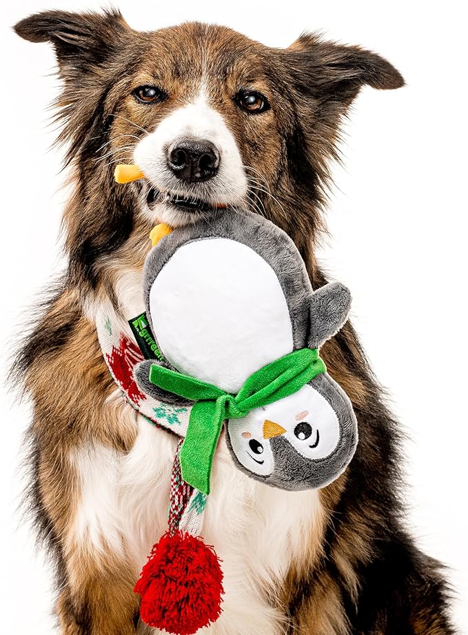 Holiday Collection Dog Toys | Medium Sized Pablo The Penguin | Cute, Durable, & Sustainable Plush Chew Toys for Dogs | Festive Stocking Stuffer Gift