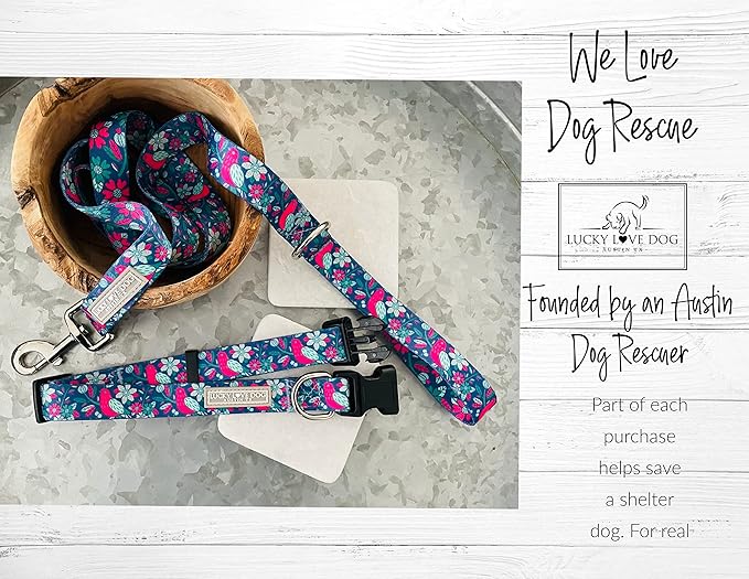 Lucky Love Dog - Adjustable Dog Collar with Easy Click Buckle for Small to Large Dogs, Durable, & Comfortable for Male & Female Dogs, Pet Collar for Puppies & Adult Ones - Carriebelle, Large