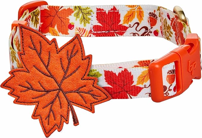 Blueberry Pet Adjustable Thanksgiving Dog Collar - Medium 14.5"-20" Neck, Perfect Puppy Collar for Fall, Maple Décor, Dog Collars for Small Dogs, Ideal for Family Photos & Matching Outfits