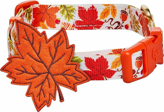 Blueberry Pet Adjustable Thanksgiving Dog Collar - Medium 14.5"-20" Neck, Perfect Puppy Collar for Fall, Maple Décor, Dog Collars for Small Dogs, Ideal for Family Photos & Matching Outfits