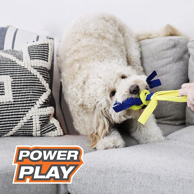Nylabone Power Play Fling-a-Bounce Interactive Play Toy, Fetch Toy for Dogs, Large (1 Count)