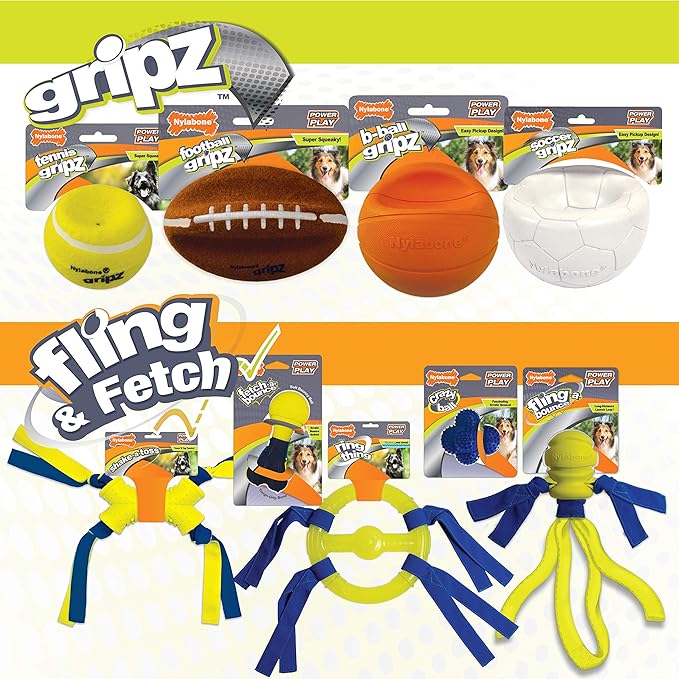 Nylabone Power Play Fling-a-Bounce Interactive Play Toy, Fetch Toy for Dogs, Large (1 Count)