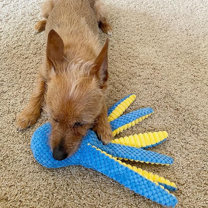 Dog Toys, 5 Pack, Plush Dog Squeaky Toys, Assortment Bundle Ocean Animal Pet Toy for Small Medium Large Dogs, Stuffed Puppy Chew Toy, Doggy Birthday Gift