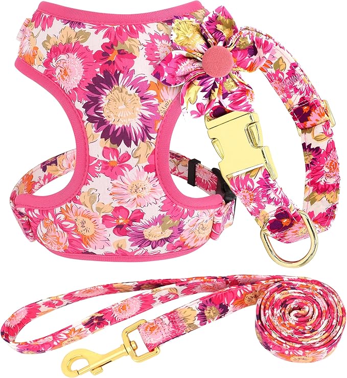 Beirui Cute Girl Dog Collars, Harnesses & Leashes Set - Adjustable Dog Collar and Leash Set with Flower - Soft Mesh Dog Vest Harness for Puppies Small Medium Dogs (Pink-2,XS)