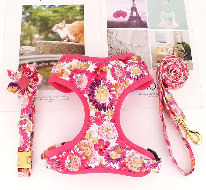 Beirui Cute Girl Dog Collars, Harnesses & Leashes Set - Adjustable Dog Collar and Leash Set with Flower - Soft Mesh Dog Vest Harness for Puppies Small Medium Dogs (Pink-2,XS)